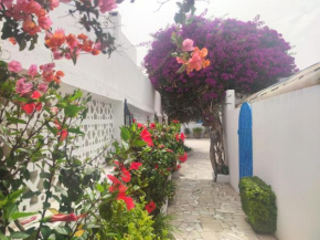 Suite à sidi bou Saïd